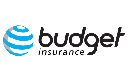 Budget Logo